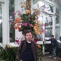 ���� ����, �������, 62 ���� - ��������� 10 ��� 2025