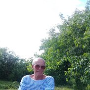 , 61 , 