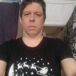 ���� ������, �����, 41 ��� - ��������� 4 ����� 2026