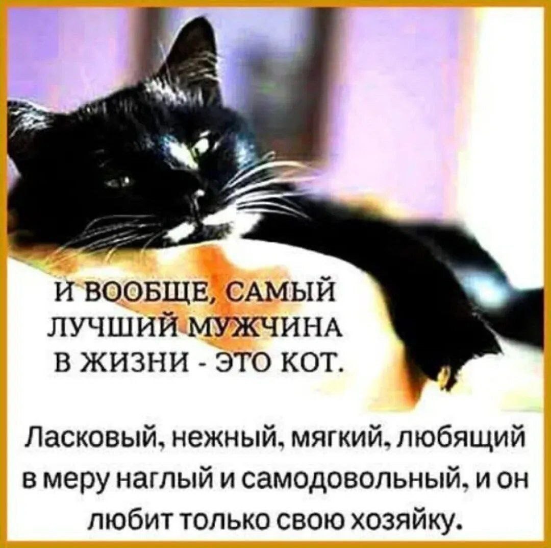  - 11  2025  10:28
