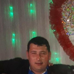, 29, 