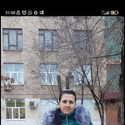 , 38 , 