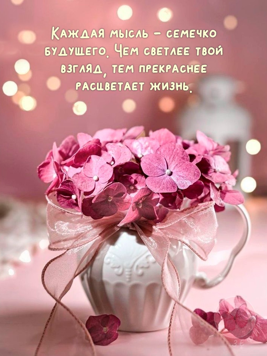 ���� - 5 ��� 2026 � 12:45