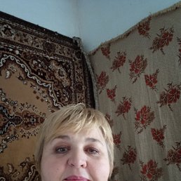 ���� �����, ����, 56 ��� - ��������� 11 ������� 2023