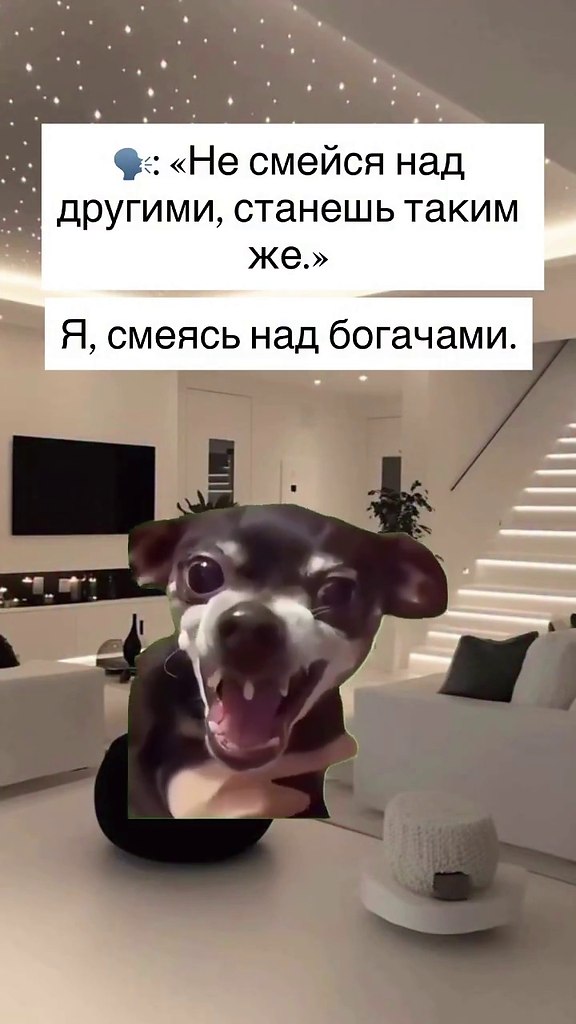 ������������������) - 2
