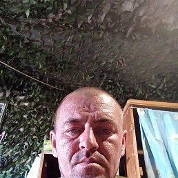, 39, 