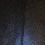 ���������, 41 ���, ���������