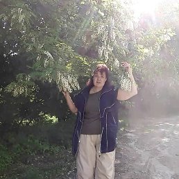 Lola, ������, 18 ���