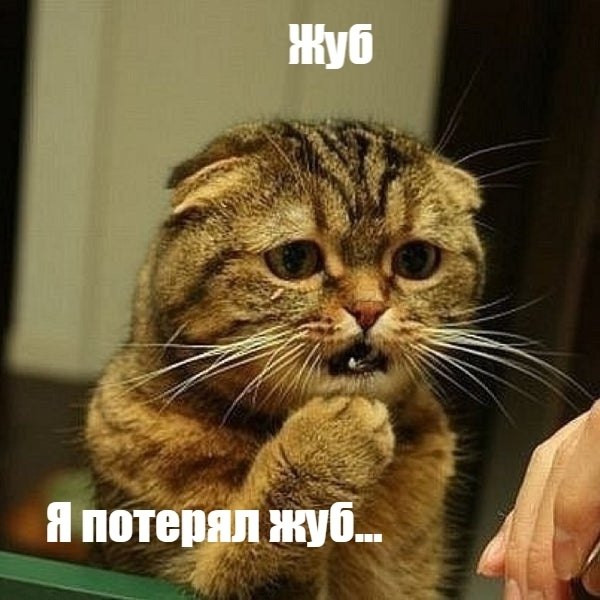 )))) - 3