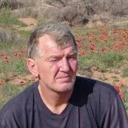 ������, ���������, 54 ����