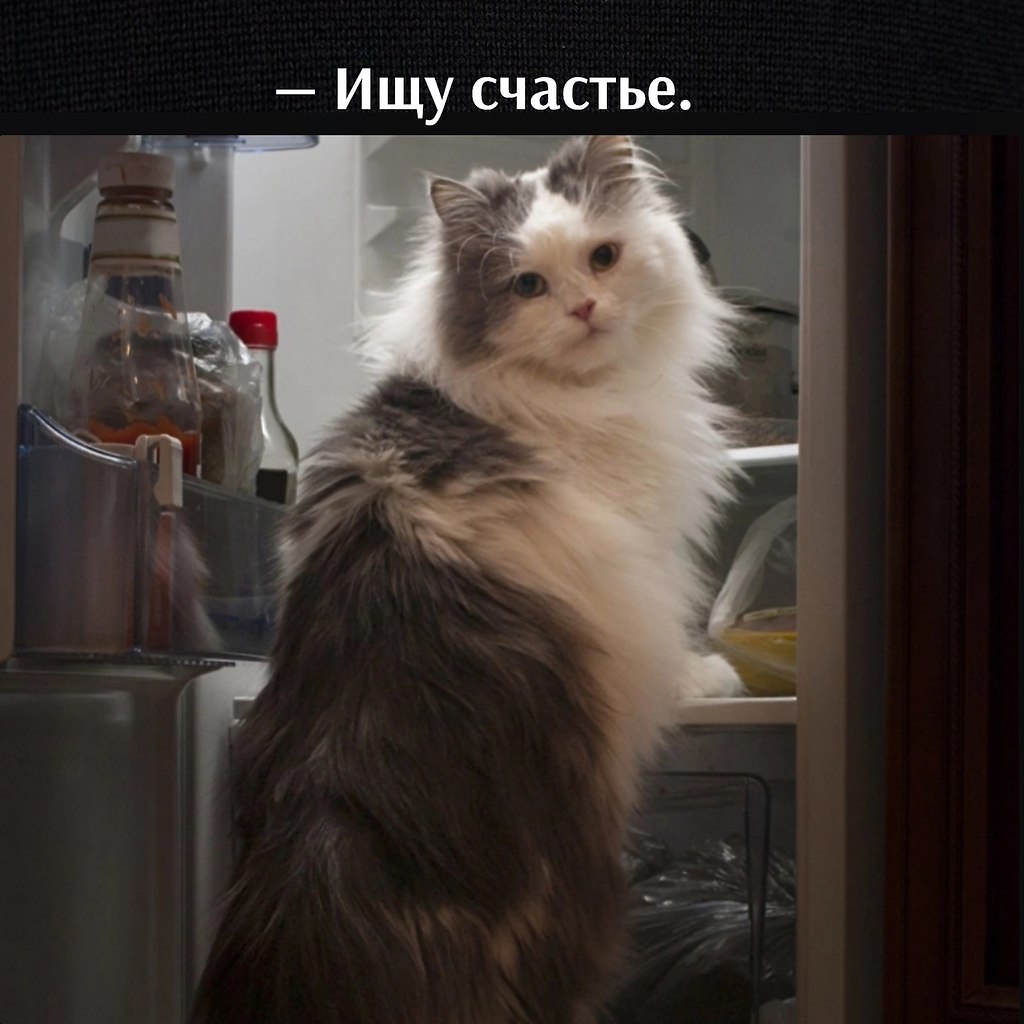 ��� ���� � ����� �� �� - 26 ������� 2026 � 22:00 - 2