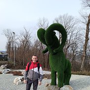 ��������, 36 ���, ���������