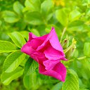 ���� �����, ���� - ��������� 30 ������ 2025