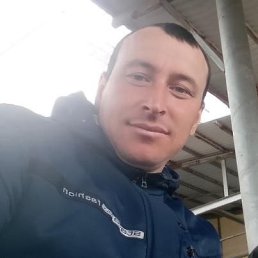 , 37 , 