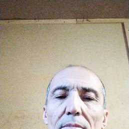 , 52, 