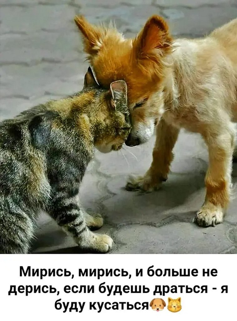 ☆������ �����☆ - 5 ������� 2025 � 04:20