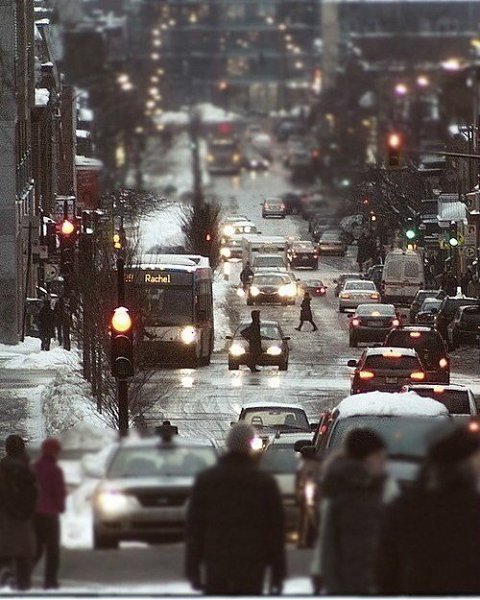 Я до сих пор так и не понял, зачем люди подолгу сердятся друг на друга. Жизнь и так непростительно ... - 3