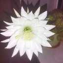 ���� ����� ����, ��������� - ��������� 8 ������� 2025 � ������ ���� ����������