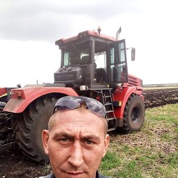 , 37, 