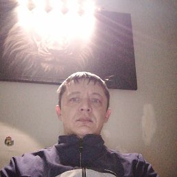 , 41, 