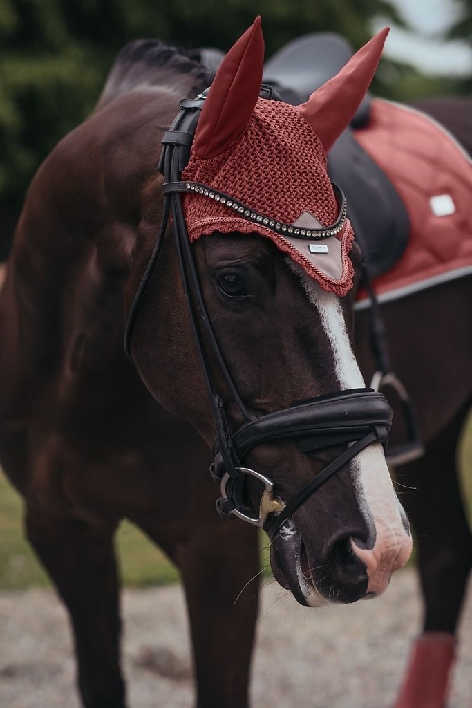  -   ! - 21  2025  18:13