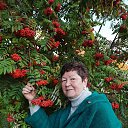 ���� ���������, ������, 77 ��� - ��������� 23 ������ 2025 � ������ ���� ����������