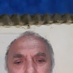 , 58 , 