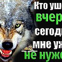 ���� ������, ������, 39 ��� - ��������� 6 ������� 2026 � ������ ���� ����������