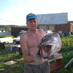 ���� �������, ��������, 67 ��� - ��������� 4 ������ 2026