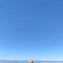���� ������, ��������� - ��������� 11 ������� 2025 � ������ ���� ����������