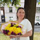 ���� �������, �����-���������, 52 ���� - ��������� 27 ������� 2026 � ������ ���� ����������