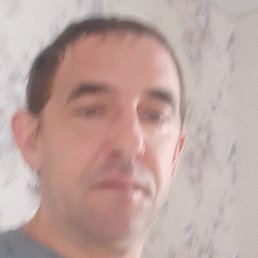 �����, ���, 43 ����