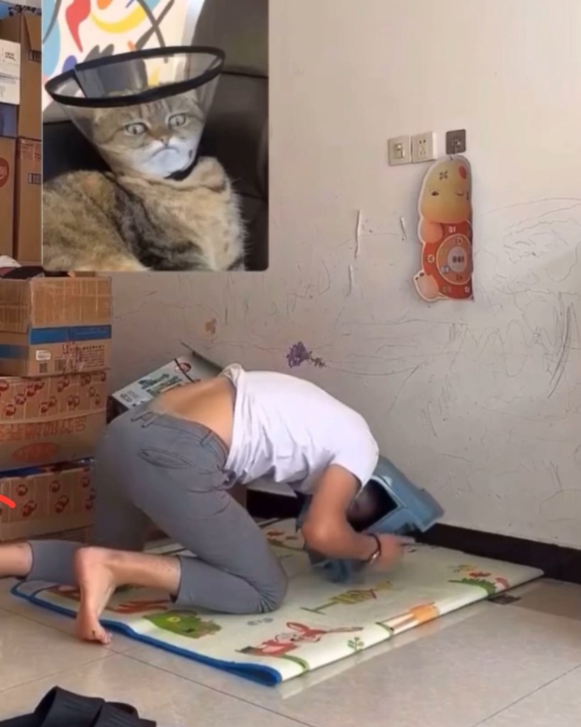       .          ... - 2