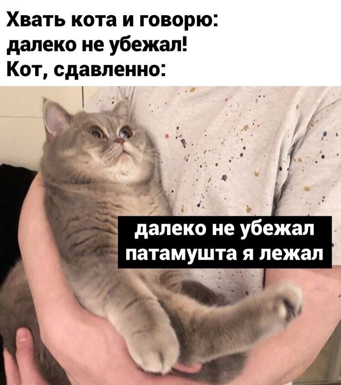    - 21  2024  00:21