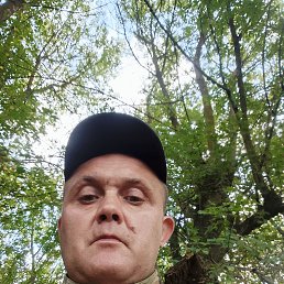 , 37, 