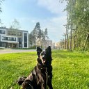 ���� ������, ������, 60 ��� - ��������� 21 �������� 2025