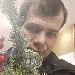 ����, �����-���������, 37 ���