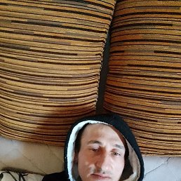 ������, 41 ���, ���������