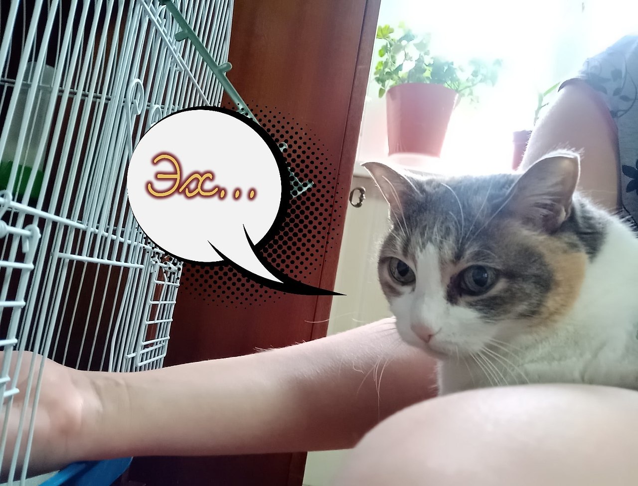     ))) - 4