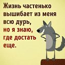���� ���, ����, 63 ���� - ��������� 22 ������� 2023 � ������ ���� ����������