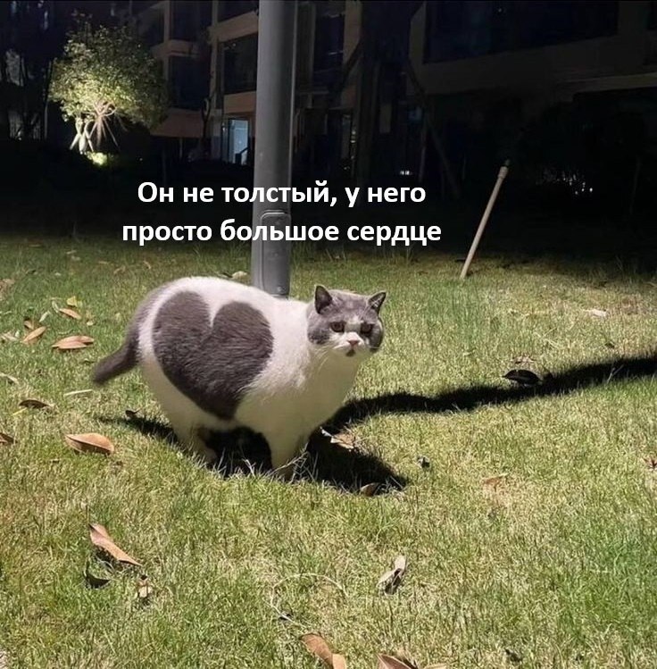    - 16  2025  18:05