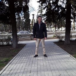  , 37 , 