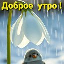 ���� �������, ������ - ��������� 16 ����� 2026 � ������ ������ ��������