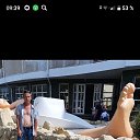 ���� �����, ���������, 49 ��� - ��������� 26 �������� 2024 � ������ ���� ����������