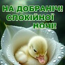 ���� ������, ����� - ��������� 20 ������ 2025 � ������ ������ ��������