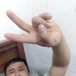 , 40, 