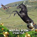 ���� ������, �������, 42 ���� - ��������� 29 ����� 2026