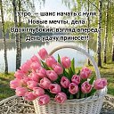���� �������, ���� - ��������� 4 ��� 2026 � ������ ������ ��������