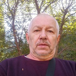 , 54 , --