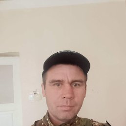 �������, 39 ���, ���������